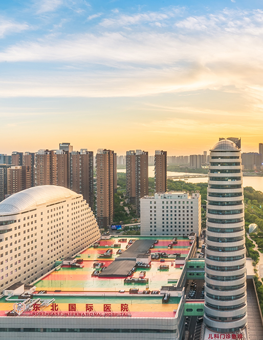 东北国际医院